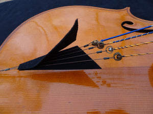Cello 4/4 size 4-string